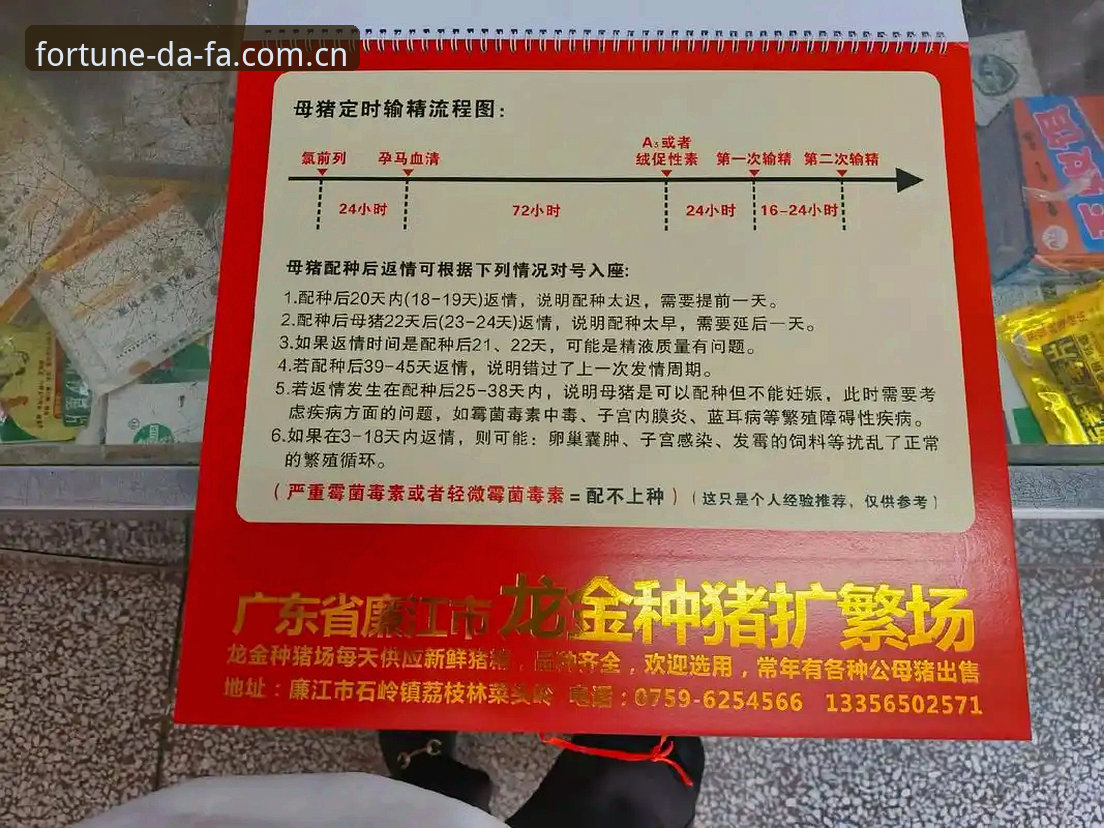 掌握大发官方登录入口2026新版实用技巧，老用户亲测体验分享